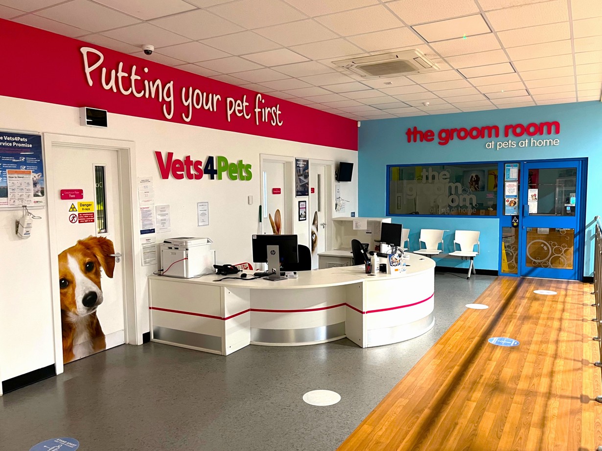 Veterinary Practice Ownership Vets4Pets Leeds Kirkstall