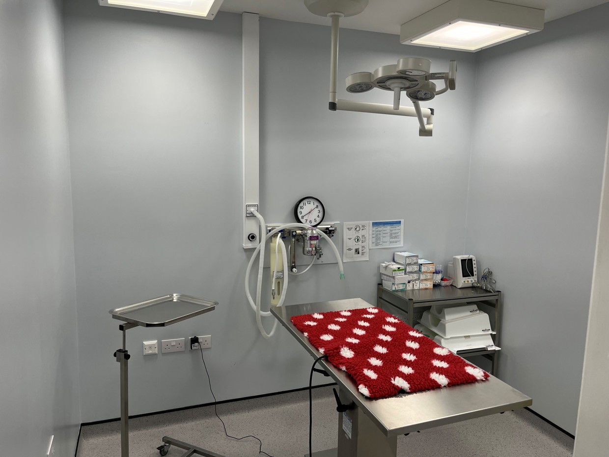 Veterinary Practice Ownership Vets for Pets Leeds Kirkstall