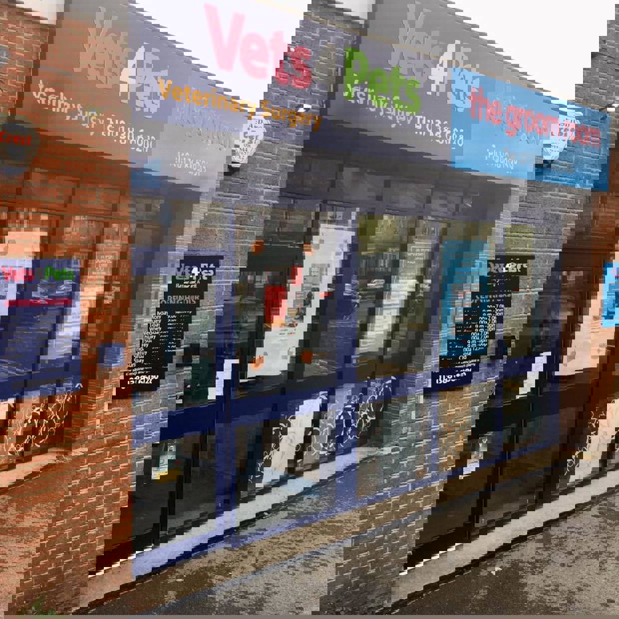 Practice Ownership Vets4Pets Auckland