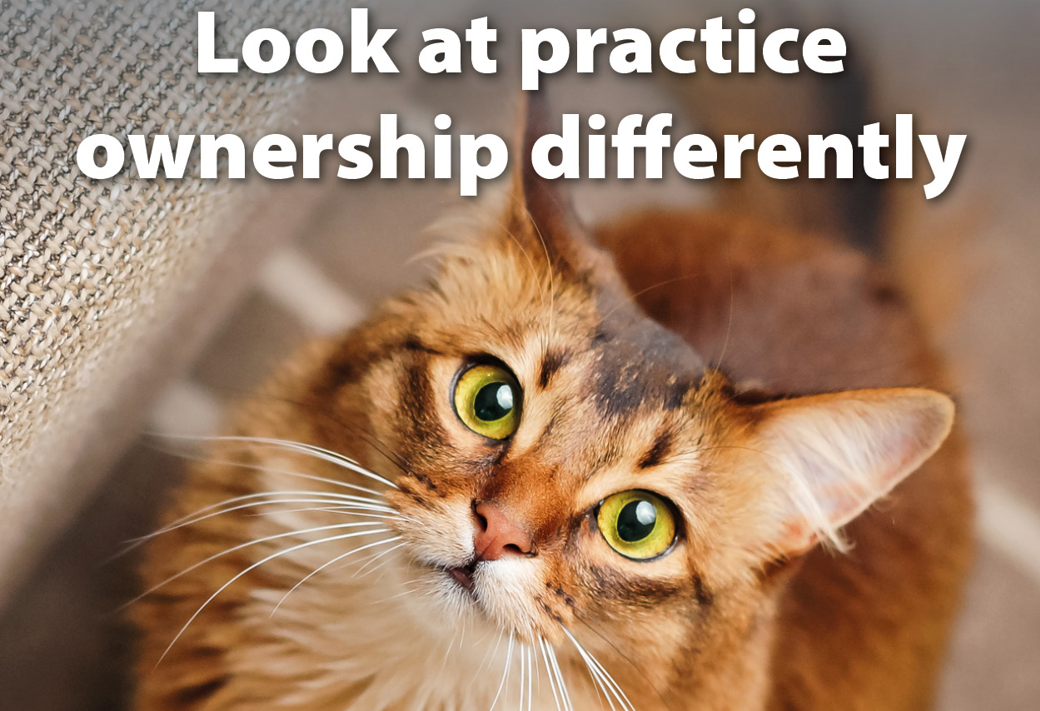 Partnership social Image Catalogue - NO STRAPLINE - 16.jpg