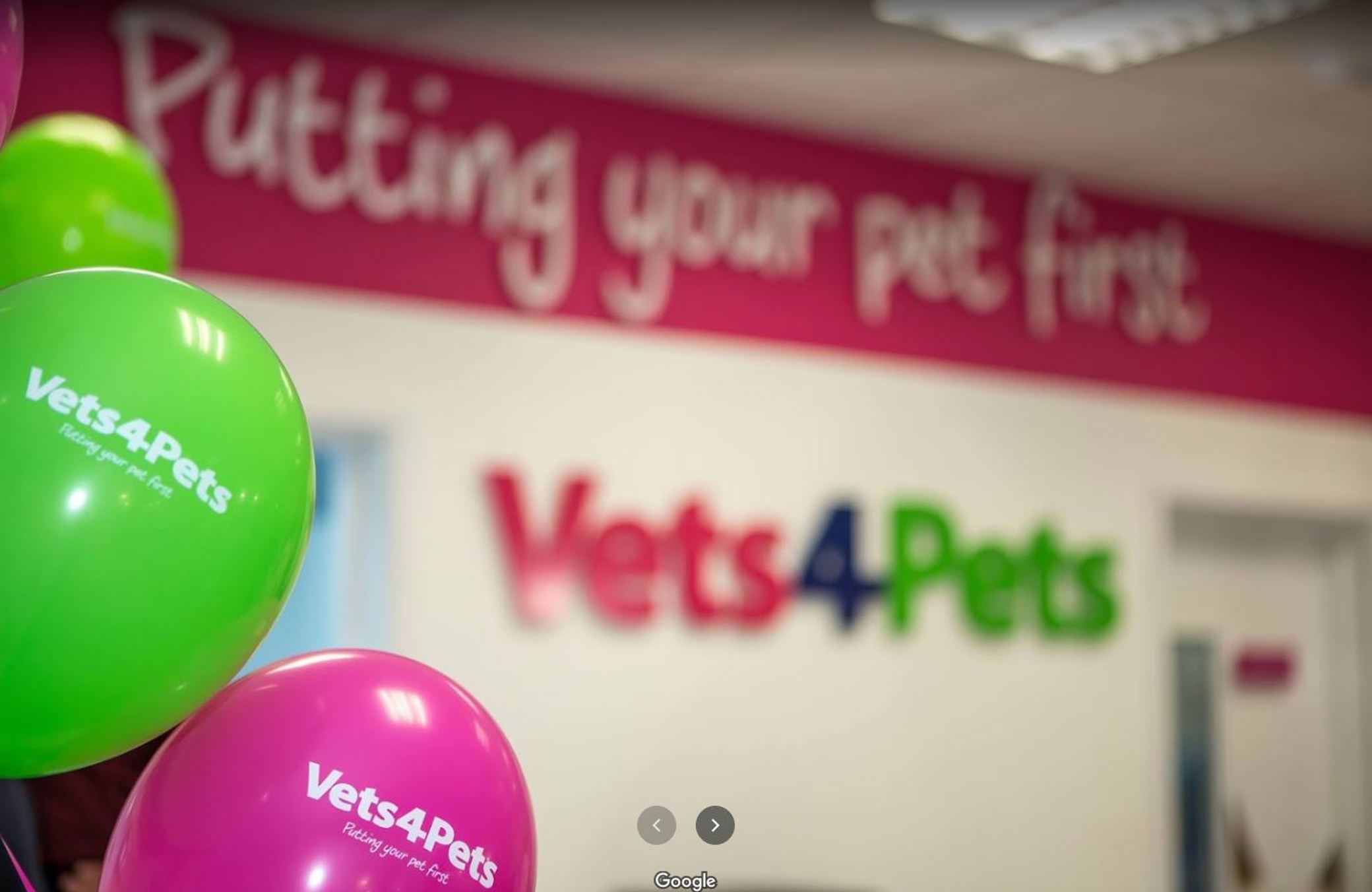 Practice Ownership Vets4Pets Bradford