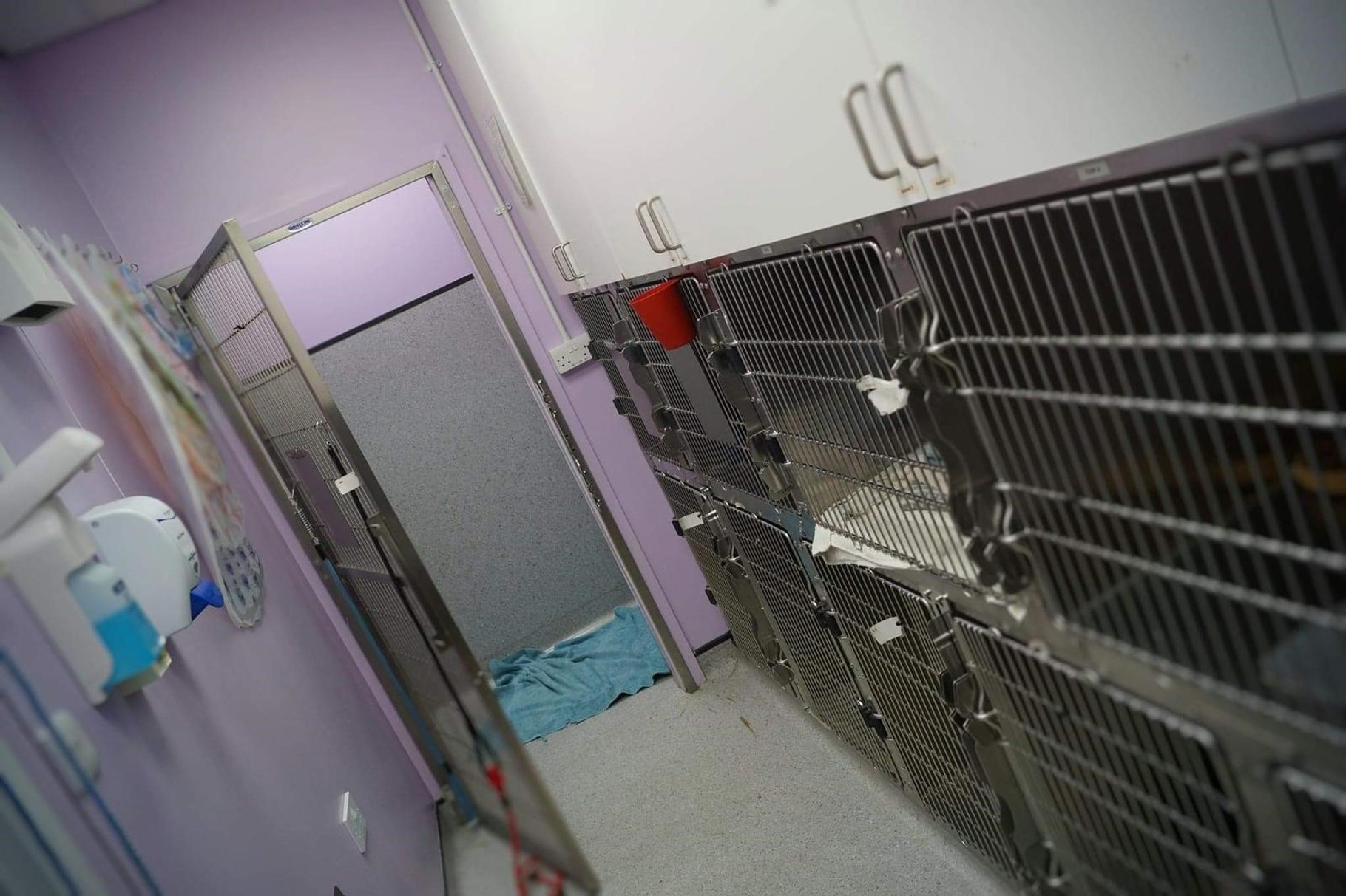 Practice Ownership Vets4Pets Kings Lynn