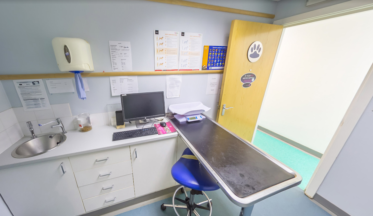 Practice Ownership Vets for Pets Bedford