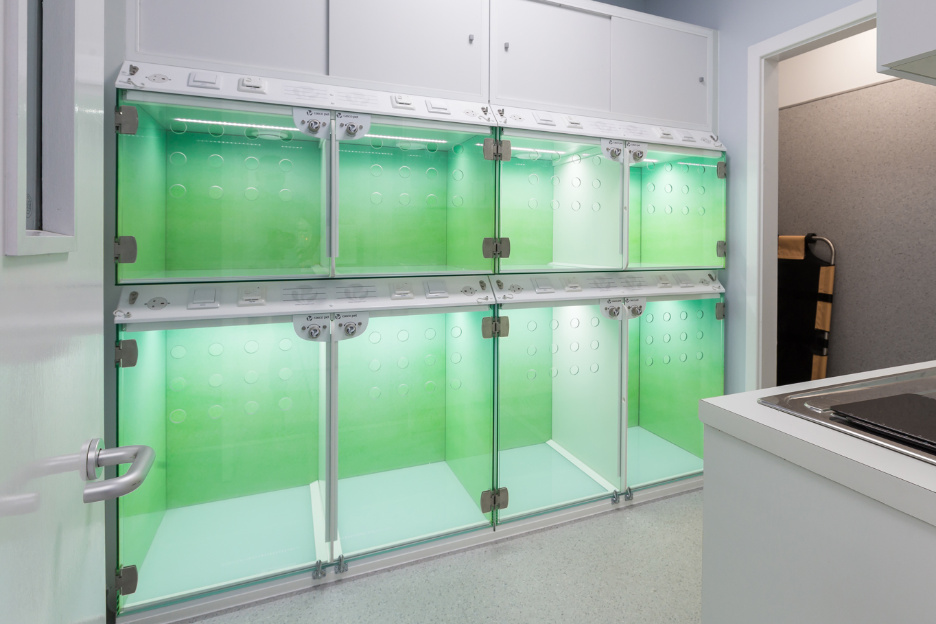 Brand New Practice Vets for Pets Sutton