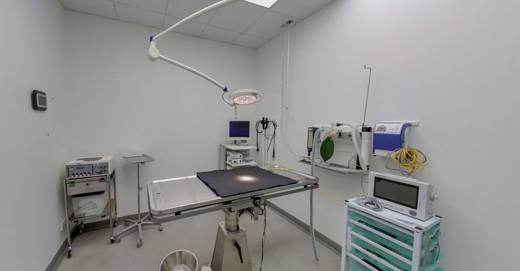 Practice Ownership Vets4Pets Wakefield