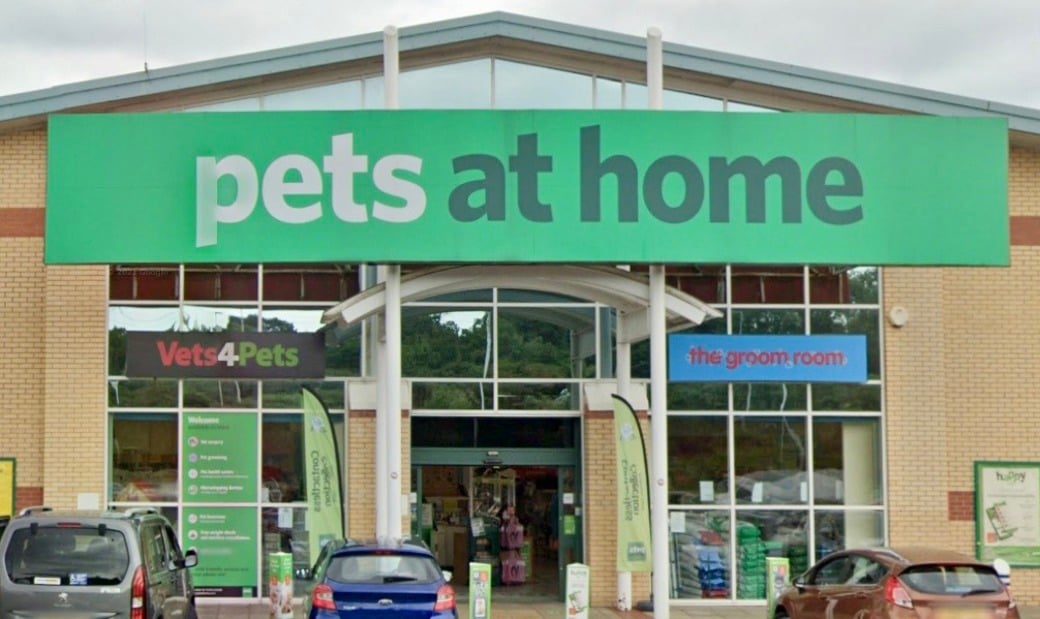 Pets at home vets walkden new arrivals