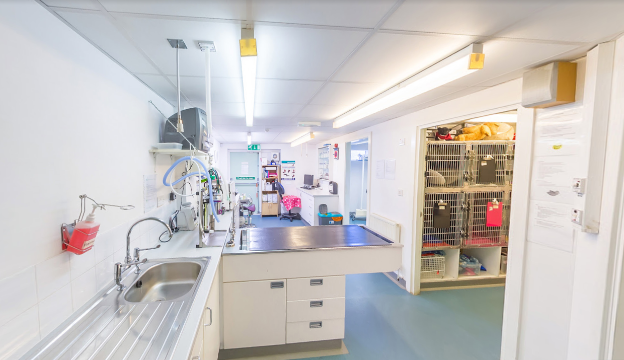 Practice Ownership Vets for Pets Bedford