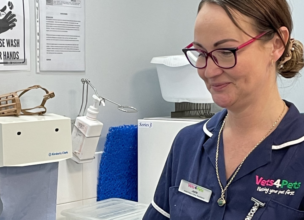 Vets for pets warbreck 2025