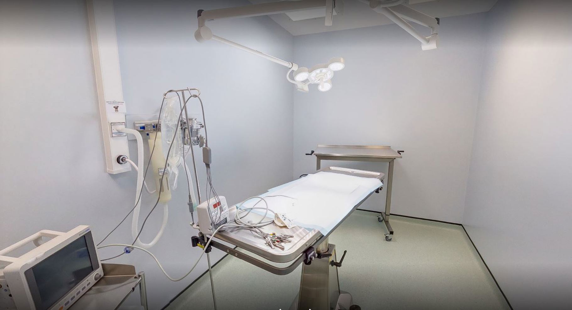 Practice Ownership Vets4Pets Farnham