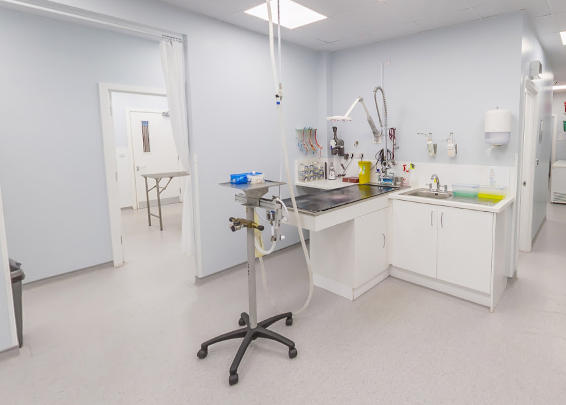 Vets for Pets Prenton