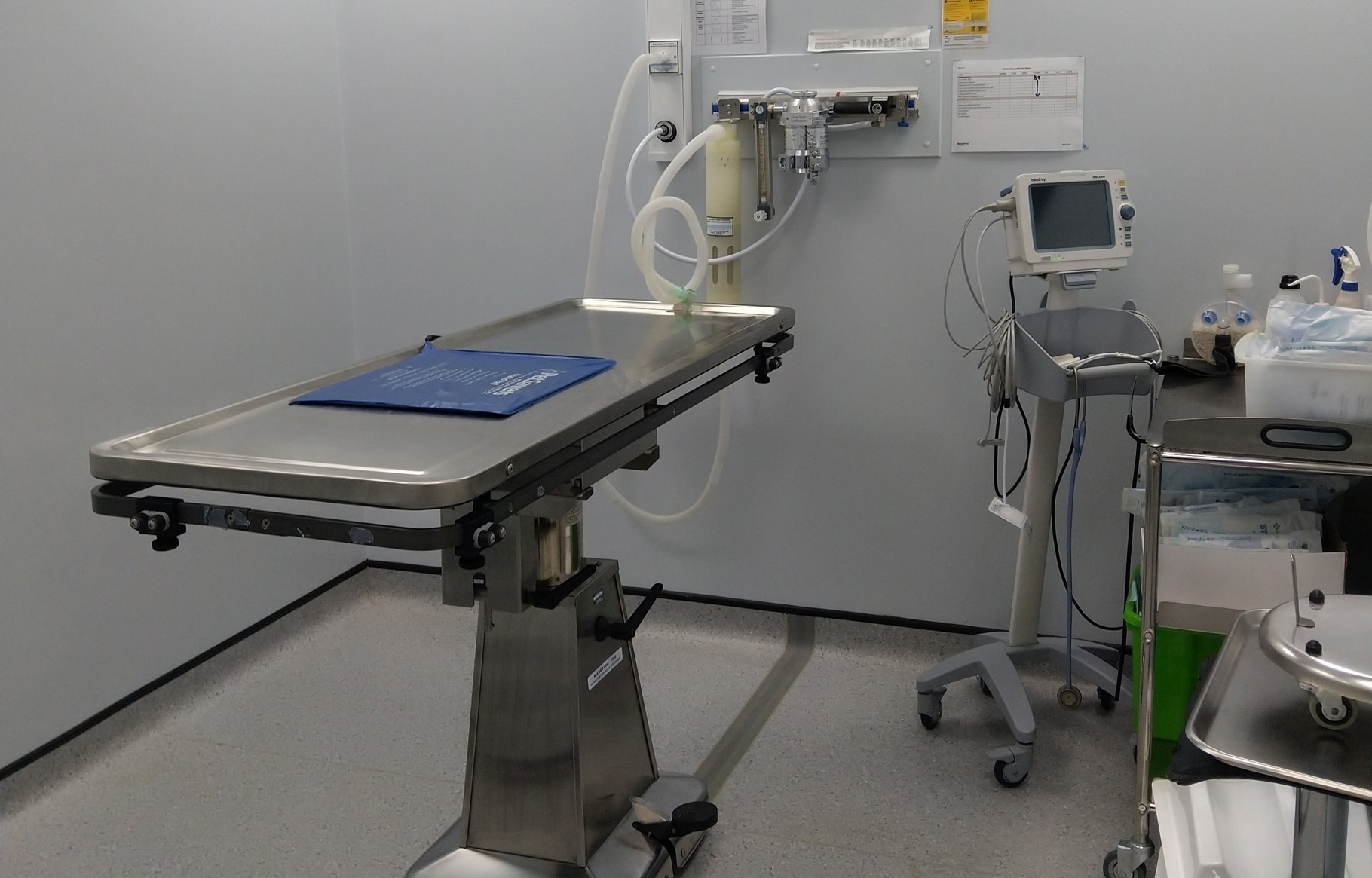 Practice Ownership Vets4Pets Banbury