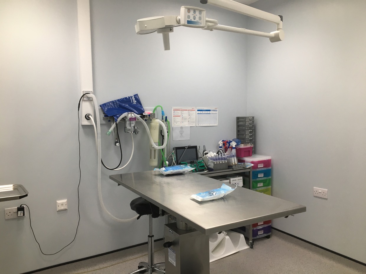 Practice Ownership Vets4Pets Gillingham