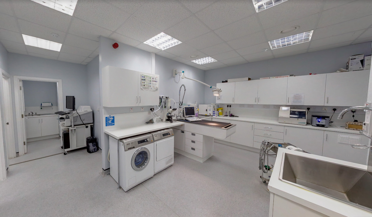 Practice Ownership Vets4Pets Blackpool Warbreck