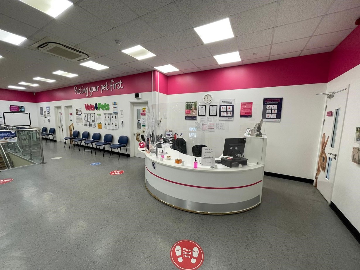 Practice Ownership Vets4Pets Southend Airport