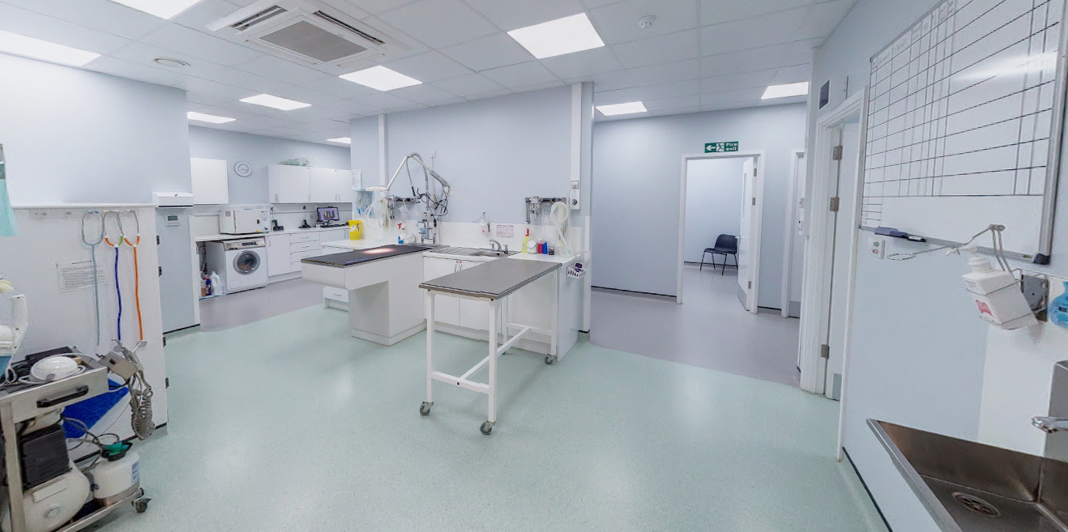 Practice Ownership Vets4Pets Farnham