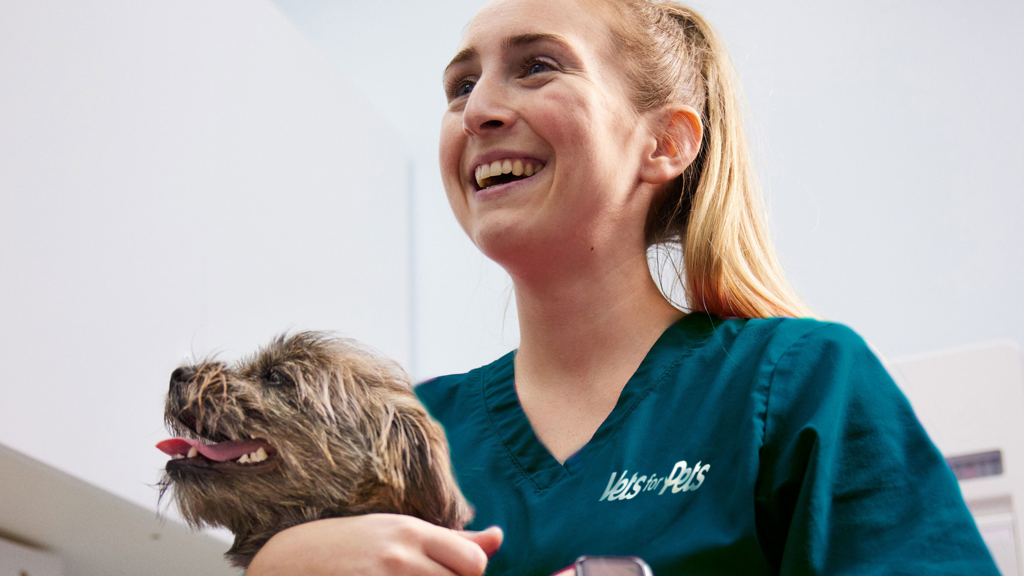 Apprenticeships Vets4Pets