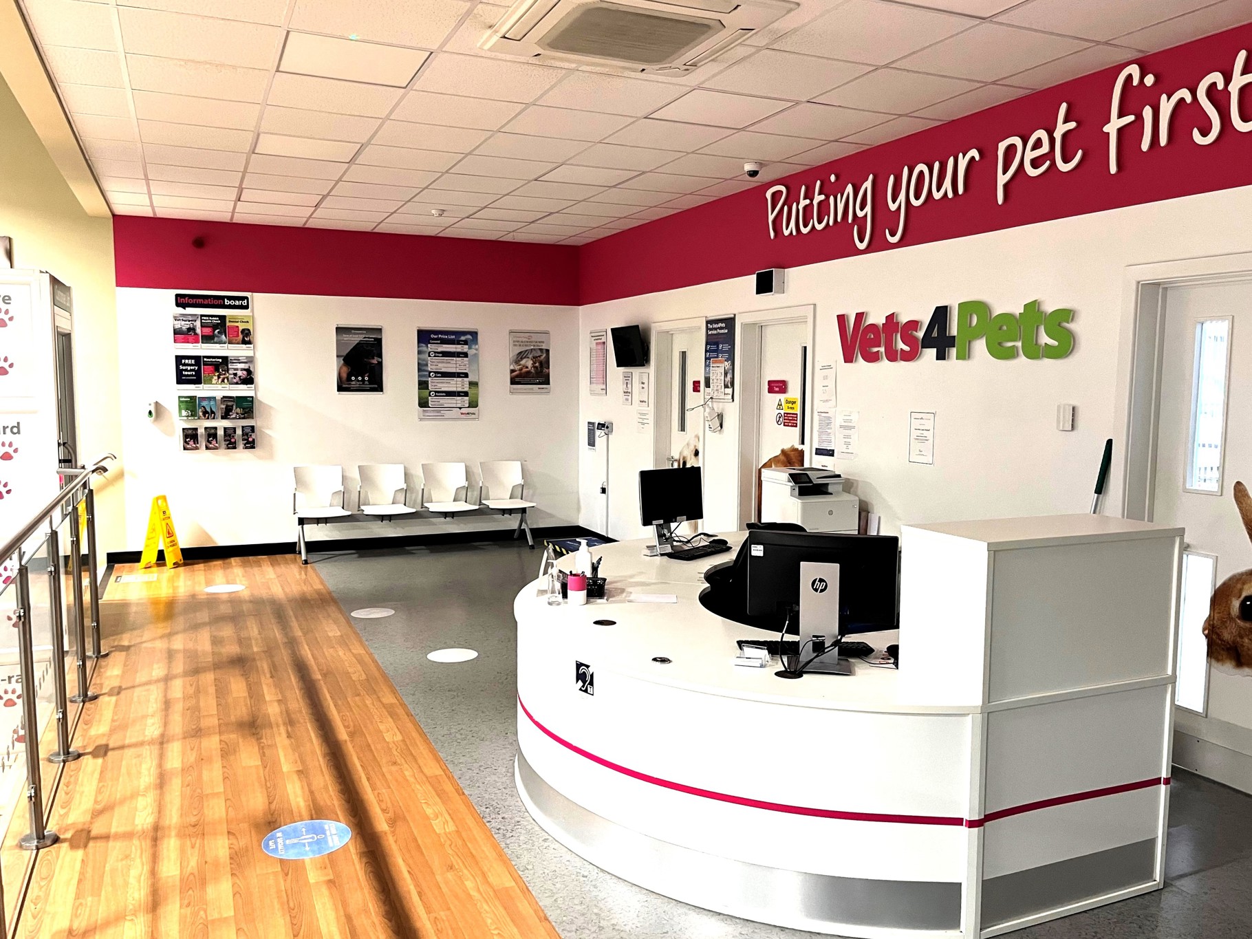 Veterinary Practice Ownership Vets for Pets Leeds Kirkstall