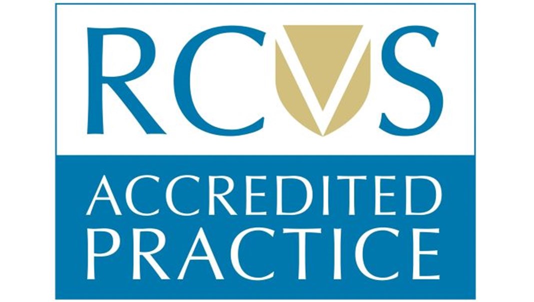 RCVS accredited