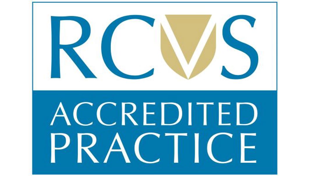 RCVS accredited