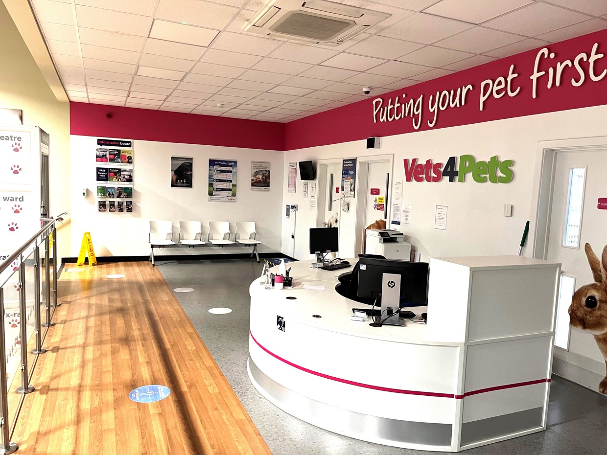 Practice Ownership Opportunities Vets4Pets West Yorkshire