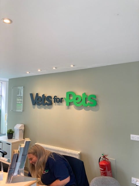 Bearsden Reception