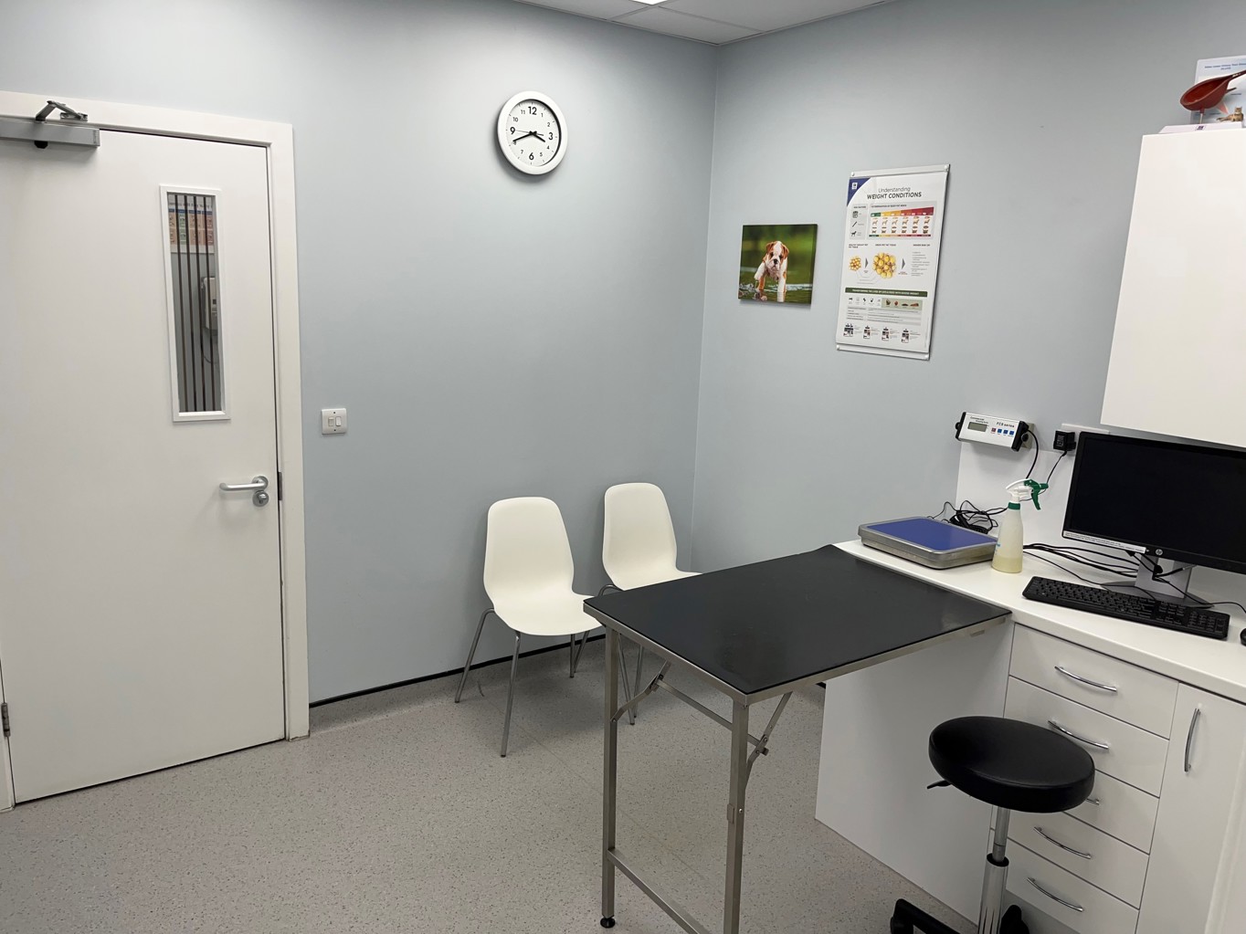 Veterinary Practice Ownership Vets for Pets Leeds Kirkstall