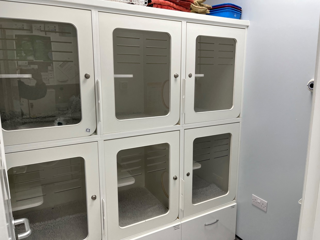 Veterinary Practice Ownership Vets for Pets Leeds Kirkstall