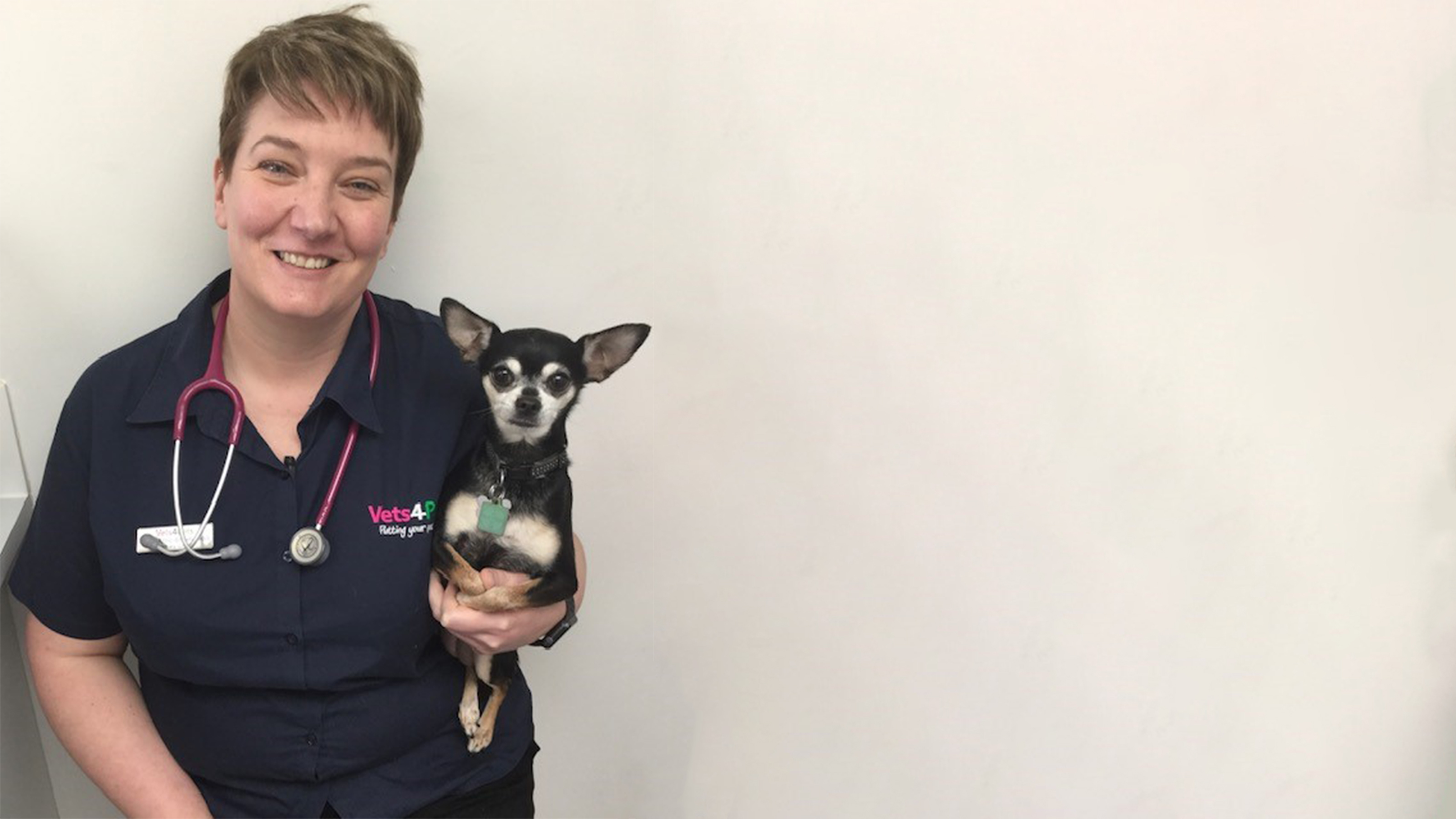 Blog: My graduates teach me as much as I teach them | Vets4Pets