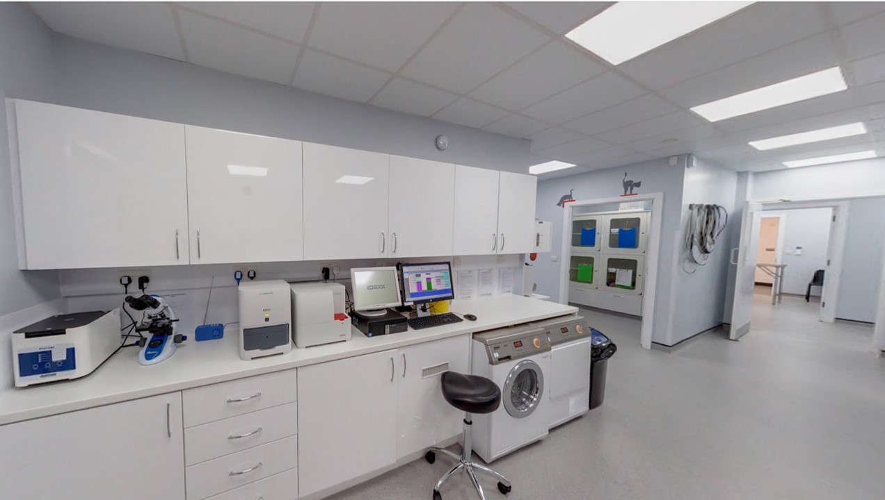 Newtownards Prep area2