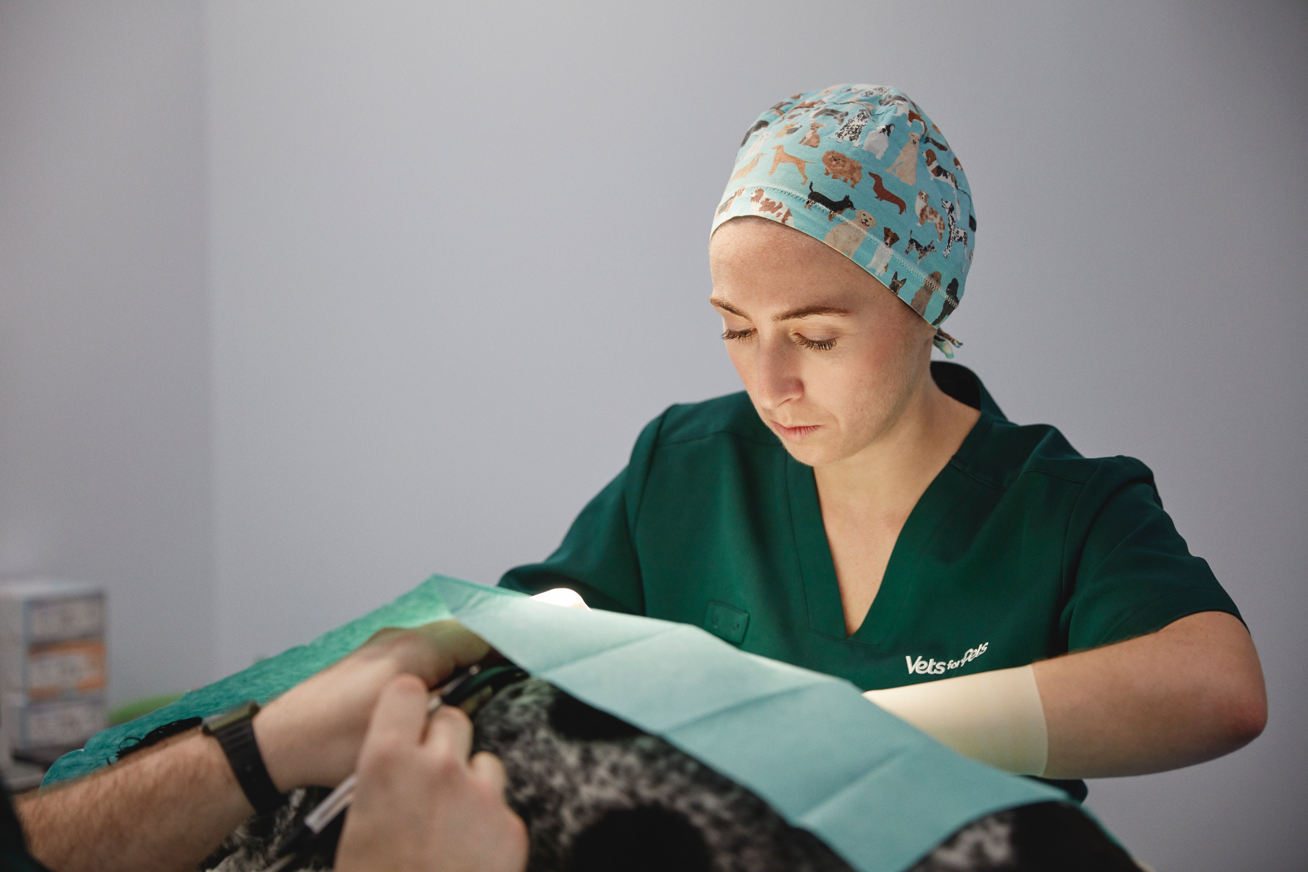 pets_pillars_hannah_practice_9365-v1-150DPI (1)