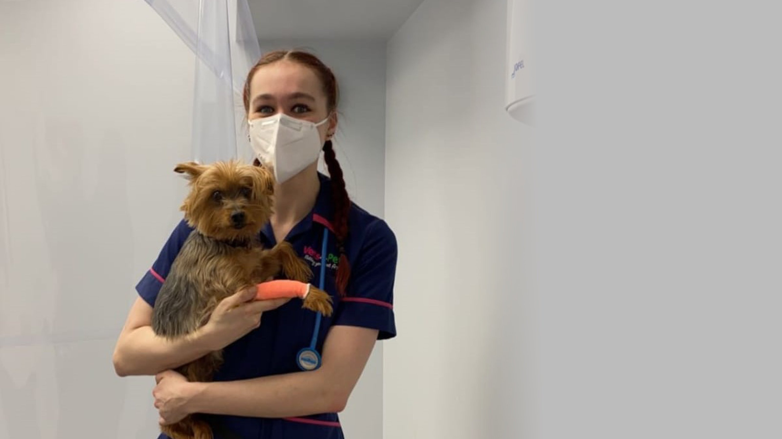 Idle vets for sales pets