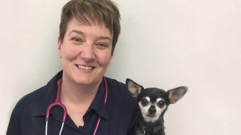 Graduate Programme Veterinary Careers Vets4Pets