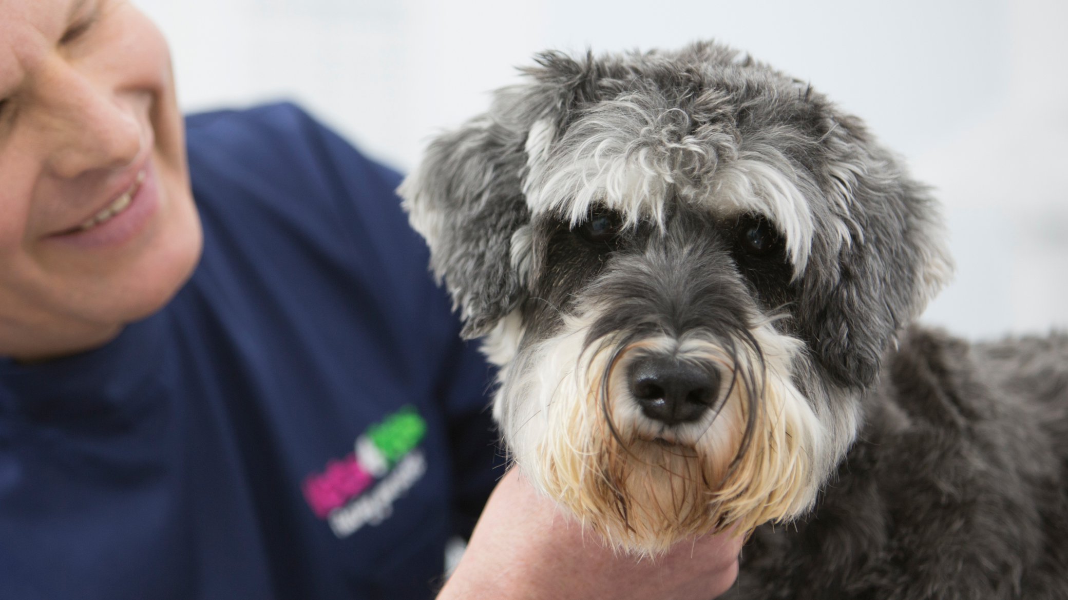 What does Joint Venture Partnership look like for you? Blogs Vets for Pets