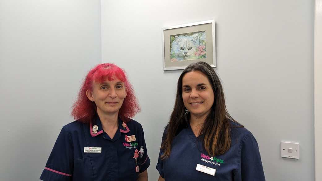 Karen (L) and Ana (R) Vets for Pets Swindon Bridgemead_2