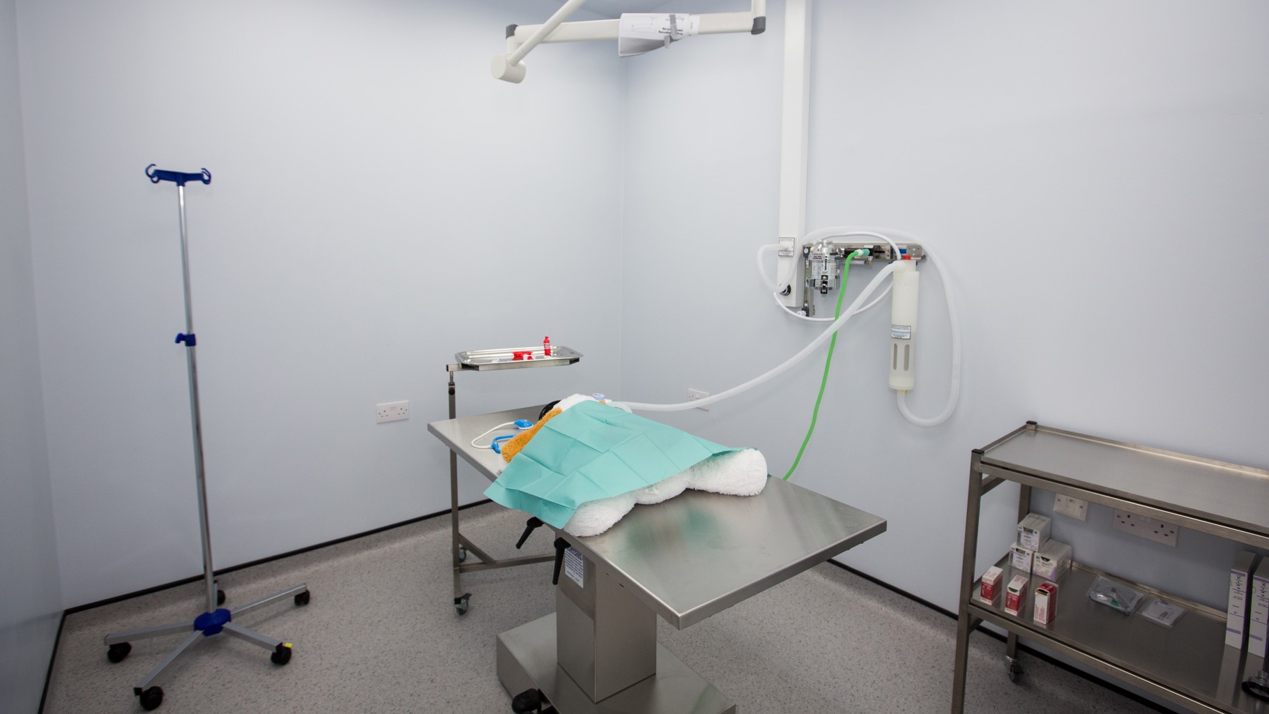 Vets4Pets South Shields Quays Partnership Opportunity Vets4Pets